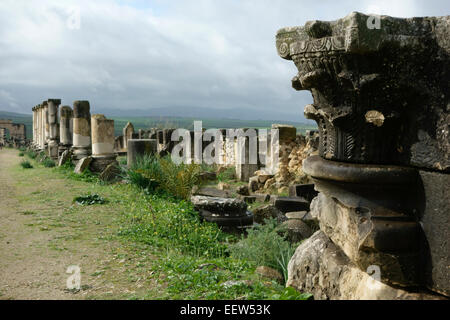 Ruines romaines de Volubilis, Maroc, Afrique Banque D'Images