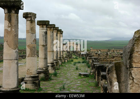 Ruines romaines de Volubilis, Maroc, Afrique Banque D'Images