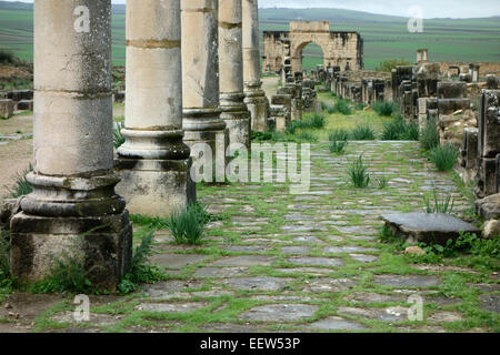 Ruines romaines de Volubilis, Maroc, Afrique Banque D'Images