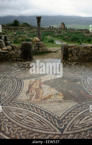 À la mosaïque des ruines romaines de Volubilis, Maroc, Afrique Banque D'Images