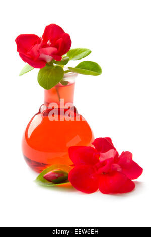 Fleur rouge dans un tube à essai Banque D'Images