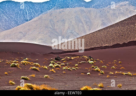 Cône de cendres Red Hill dans la vallée d'Owens en Californie Banque D'Images