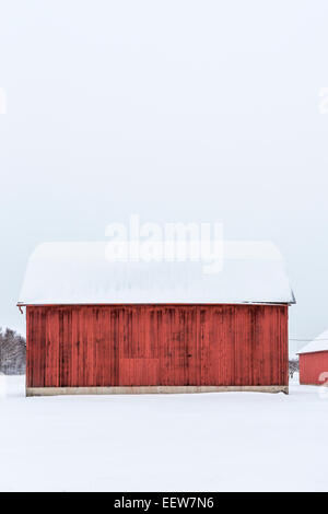 Grange rouge classique sur un jour de neige glacée dans Mecosta comté près de Grand Rapids et Stanwood, Michigan, USA Banque D'Images