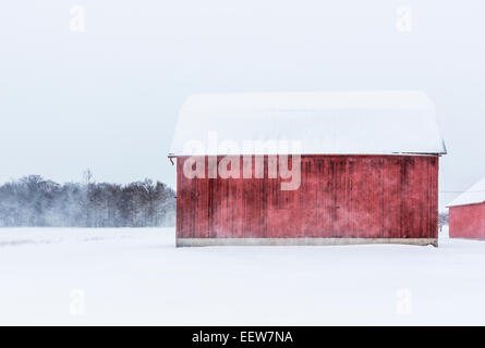 Grange rouge classique enduring vent neige sur un ci-dessous de zéro jour dans Mecosta comté près de Grand Rapids et Stanwood, Michigan, USA [No Banque D'Images