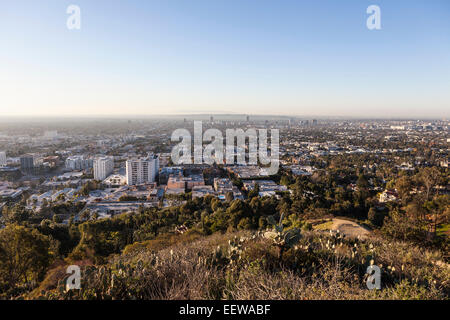 West Hollywood et Los Angeles tôt le matin sur une colline dans le sud de la Californie. Banque D'Images