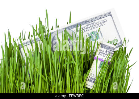 100 billets d'un dollar de plus en plus l'herbe verte, des finances concept Banque D'Images