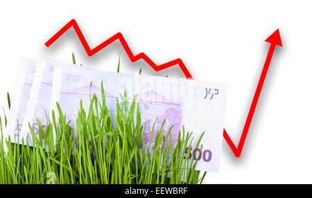 Euro de plus en plus de l'argent comptant dans l'herbe verte, la flèche qui s'élève Banque D'Images