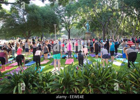 Sydney, Australie. 21 janvier, 2015. Au cours du Festival de Sydney Lululemon Athletica a tenu des cours complémentaires dans Hyde Park au nord. Credit : Copyright photo : Richard Milnes 2015. Alamy Live News Banque D'Images