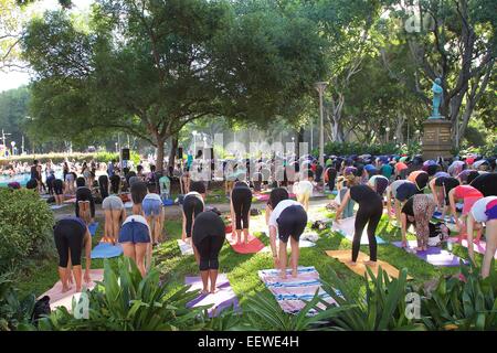 Sydney, Australie. 21 janvier, 2015. Au cours du Festival de Sydney Lululemon Athletica a tenu des cours complémentaires dans Hyde Park au nord. Credit : Copyright photo : Richard Milnes 2015. Alamy Live News Banque D'Images