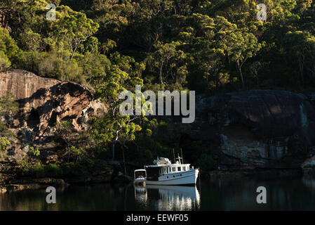 Moteur d'un bateau au mouillage et au début de la lumière du soleil du matin sur les pentes couvertes d'arbres de Smiths Creek, Broken Bay. L'Australie Banque D'Images