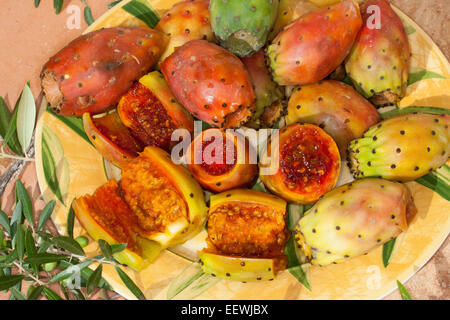 Indian fig opuntia, barbary fig, figuier de barbarie, Prickley Pear, la société Feigenkaktus, Frucht, Kaktusfeige, Opuntia ficus-indica Banque D'Images