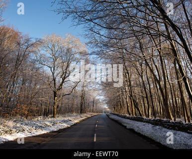 Route de stow on the wold à travers les arbres d'hiver dans la neige dans les Cotswolds. L'Angleterre Banque D'Images