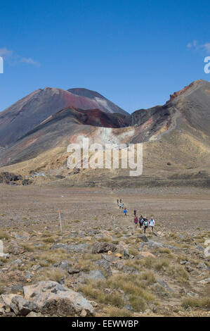 Cratère rouge, Tm, Nghauruhoe Tongariro, Nouvelle-Zélande Banque D'Images