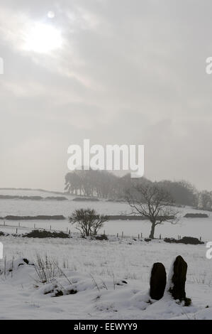 Riber, Derbyshire, Royaume-Uni. 22 janvier, 2015. Météo France : plusieurs pouces de neige sont tombés dans le nord du comté d'hier, mais les conditions de gel restent encore aujourd'hui ,Forecaster disons la neige va commencer à fondre et peut laisser des inondations dans certains ares . Credit : IFIMAGE/Alamy Live News Banque D'Images