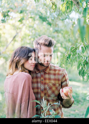 Apple orchard. Un couple debout par un pommier Banque D'Images