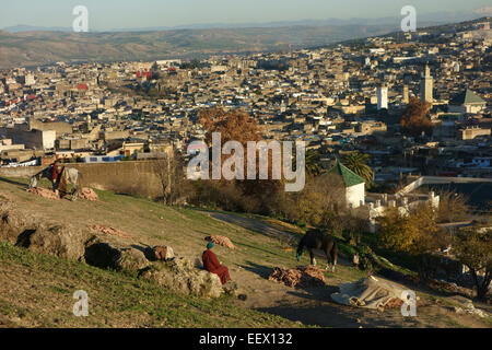 Vue aérienne de la Médina de Fès sur le coucher du soleil, le Maroc, l'Afrique Banque D'Images