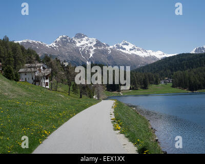 Vue sur le lac à Saint-Moritz en Suisse avec un chalet et une toile de fond de montagnes enneigées Banque D'Images