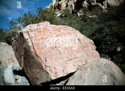 Las Vegas, Nevada, USA. 10 janvier, 2015. Le décor du Red Rock Canyon près de Las Vegas, Nevada, USA, 10 janvier 2015. Photo : Britta Pedersen/DPA - PAS DE FIL - SERVICE/dpa/Alamy Live News Banque D'Images