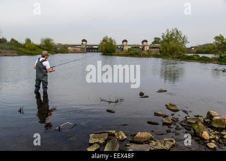 Angler en cuissardes, dans la rivière Ruhr Banque D'Images