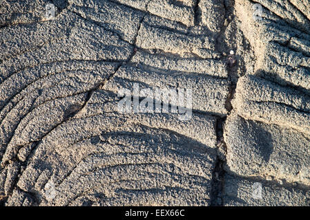 Champ de lave, close-up, Erta Ale, l'Ethiopie Banque D'Images