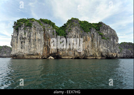 Lone Rock. Ha Long Bay. Vietnam Banque D'Images