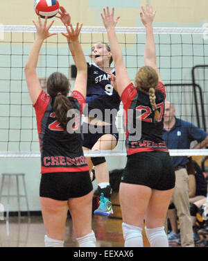 Cheshire, CT USA Staples's Lauren Mushro met le pic de plus de Cheshire au cours de la CIAC LL Championship match de championnat de volley-ball. Banque D'Images