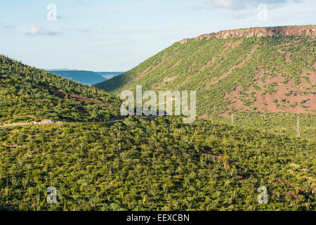 Paysage désertique, Baja California Sur, Mexique Banque D'Images