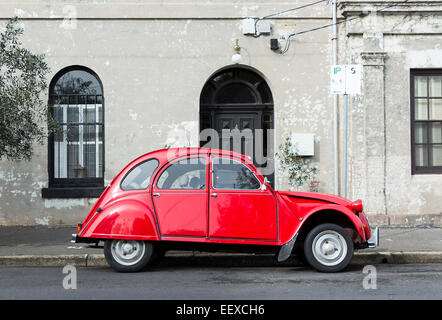 Coccinelle rouge Banque D'Images