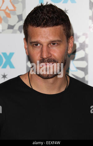 Fox Summer TCA All Star Party avec David Boreanaz : où : West Hollywood, California, United States Quand : 20 juillet 2014 Banque D'Images