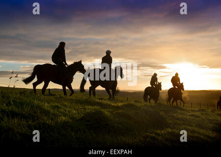 Une chaîne de chevaux sont montés à l'aube dans la région des Cotswolds Gloucestershire UK Banque D'Images