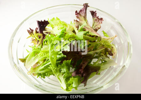 Technique mixte multilames Rouge et Vert feuilles de laitue dans un bol en verre Banque D'Images