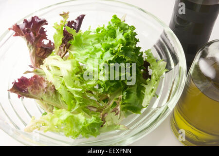 Technique mixte multilames Rouge et Vert feuilles de laitue dans un bol en verre avec l'huile d'Olive Extra Vierge et vinaigre balsamique Banque D'Images