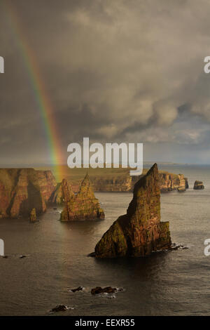 Caithness, Duncansby Head sea stacks avec rainbow Banque D'Images