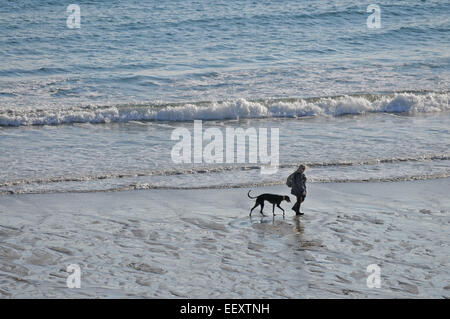 Une femme entre son greyhound le long d'une plage de Cornouailles Banque D'Images