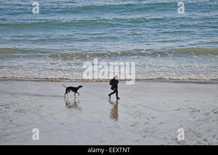 Une femme entre son greyhound le long d'une plage de Cornouailles Banque D'Images