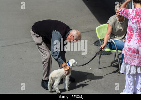 Agneau animal en rue à mener avec les jeunes balades familiales Banque D'Images