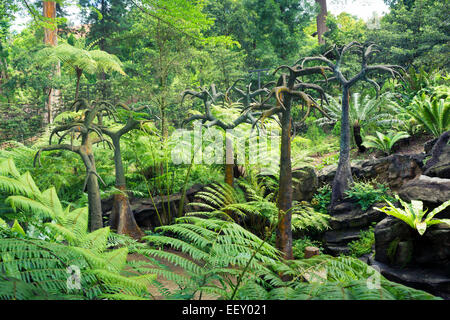 Paysage préhistorique en pierre d''arbres dans le jardin Botanique de Singapour Banque D'Images