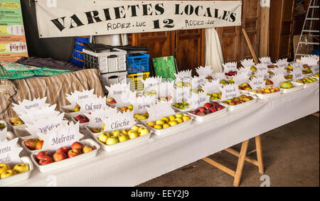 Les variétés de pommes locales françaises affiche sur une table Banque D'Images
