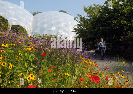 Septembre 2014 Le projet Eden près de St Austell, Cornwall. Pic Mike Walker, Mike Walker Images Banque D'Images