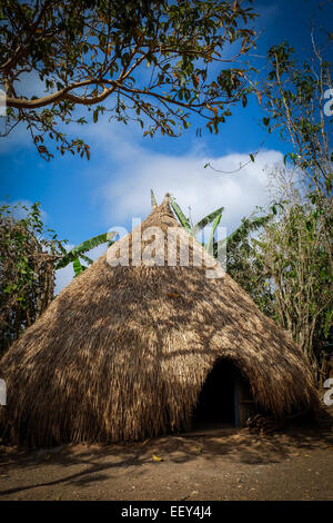 Maison traditionnelle timoraise appelé 'ume bubuk'. Banque D'Images