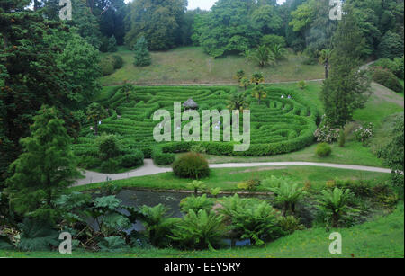 Septembre 2014 Le labyrinthe à l'du National Trust Gardens près de Glendurgan , Falmouth Cornwall. Pic Mike Walker, Mike Walker P Banque D'Images