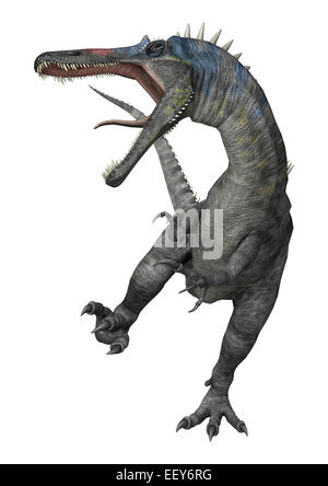 Rendu 3D d'un dinosaure Suchomimus Suchomimus tenerensis ou isolé sur fond blanc Banque D'Images