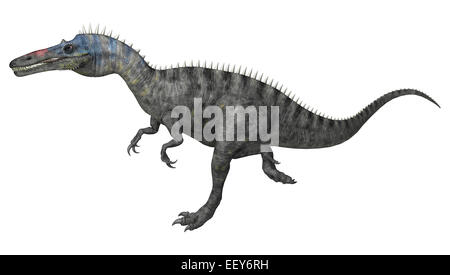 Numérique 3D render of a exécuté ou Suchomimus tenerensis Suchomimus dinosaure isolé sur fond blanc Banque D'Images