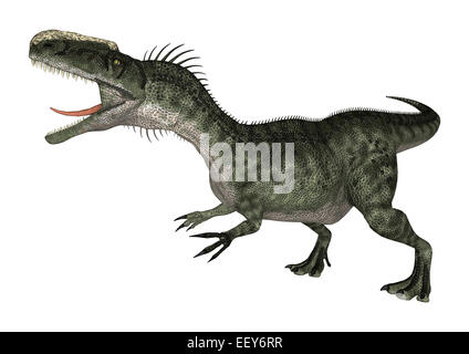 Rendu 3D d'un dinosaure Monolophosaurus isolé sur fond blanc Banque D'Images