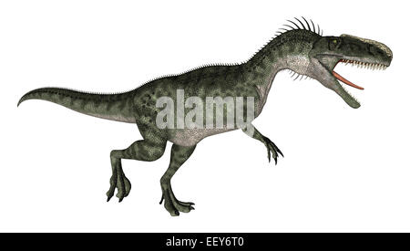 Numérique 3D render of a courir et crier Monolophosaurus dinosaure isolé sur fond blanc Banque D'Images