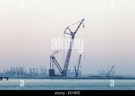 Crane à la côte du golfe du persique à Dubaï, Émirats Arabes Unis Banque D'Images