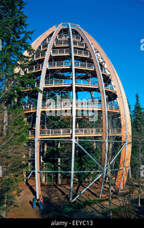 Tree Top Walk, Neuschonau, Parc National de la forêt bavaroise, Bayerischer Wald, Bavière, Allemagne Banque D'Images