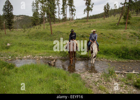 Joe Scanlon sur cheval brun et son ami Joe Krusch explorer la Blacktail Ranch à Wolf Creek, Montana. Le ranch est situé à la base de la ligne continentale de partage et c'est l'histoire remonte à la fin des années 1880, lorsque la propriété a été étendait par pioneer Gustav Rittel. (Photo par Ami Vitale) Banque D'Images