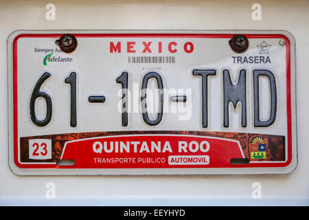 La plaque d'immatriculation de l'automobile, de l'État de Quintana Roo, au Mexique. Banque D'Images