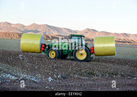 Le transport du tracteur modules coton. Banque D'Images